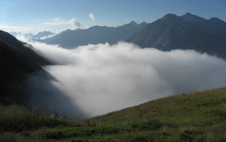 Engadine